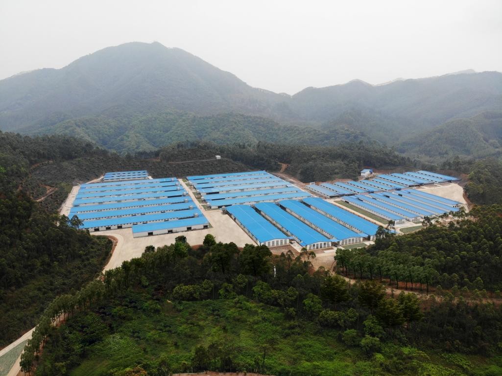 出口示范基地“進(jìn)階記”④ | 出口創(chuàng)匯8677萬美元，唐順興食品爭(zhēng)當(dāng)農(nóng)產(chǎn)品出口大戶