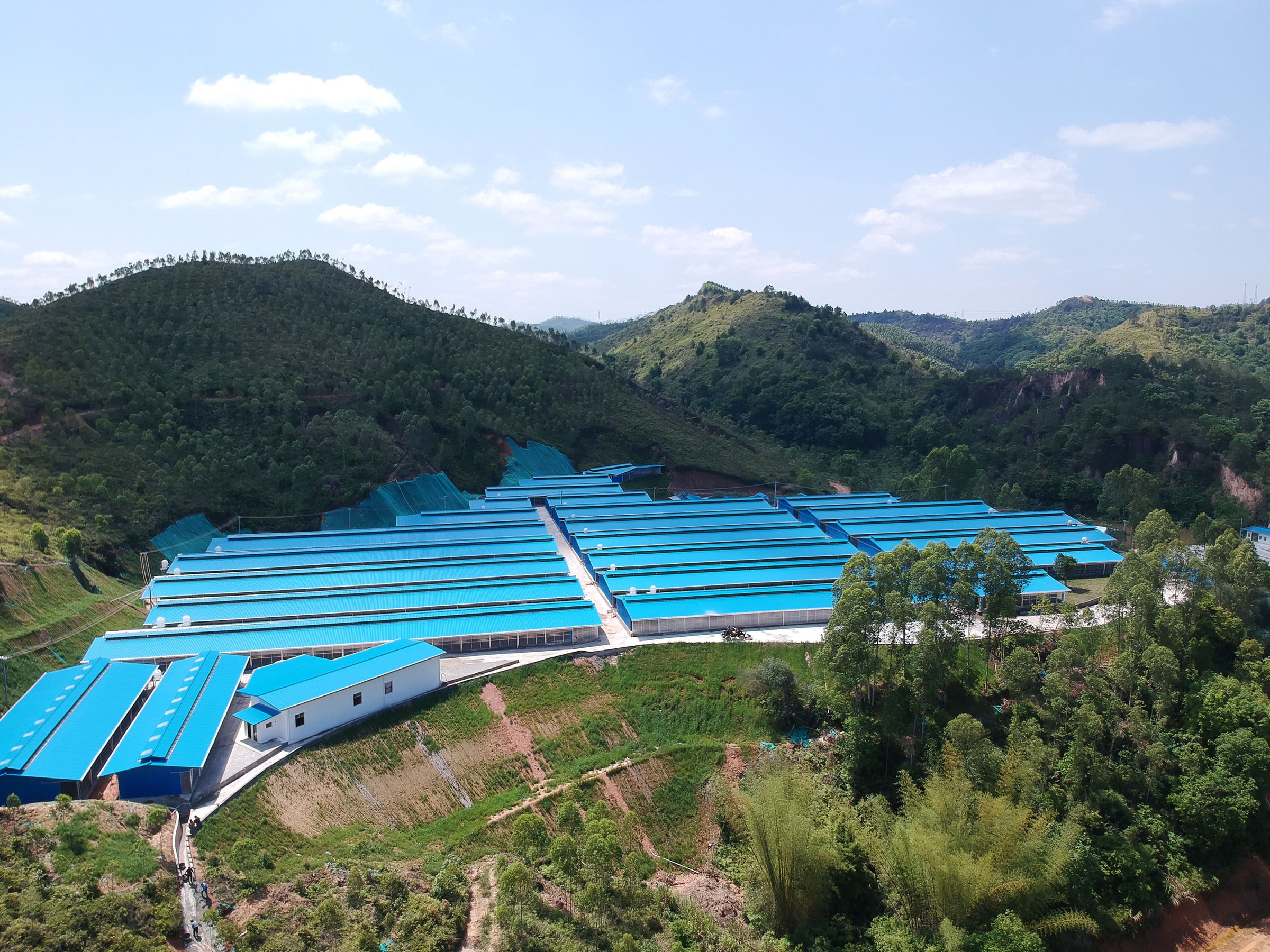 祝賀順安牧場(chǎng)榮膺縣級(jí)農(nóng)業(yè)龍頭企業(yè)稱(chēng)號(hào)