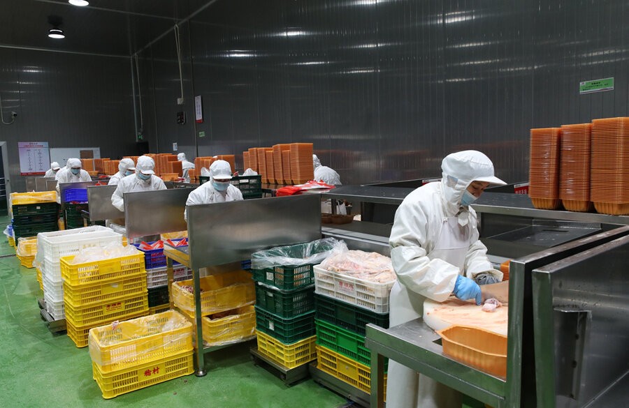 白切雞批發(fā)供應(yīng)商-打造智能物流，高效供應(yīng)鏈體系