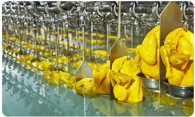 白切雞食材供應(yīng)商順興食品