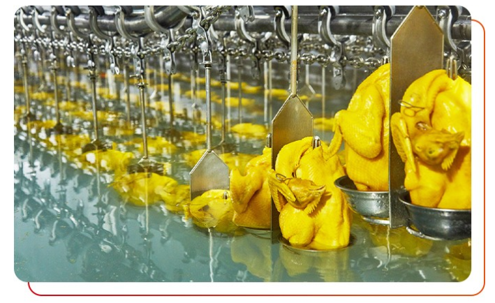 雞肉是否經(jīng)過檢測，有無相關的檢測報告？