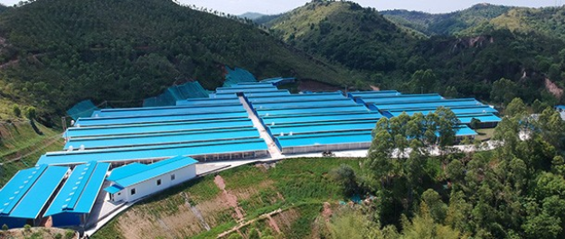 唐順興白切雞食材供應商加工與處理方法