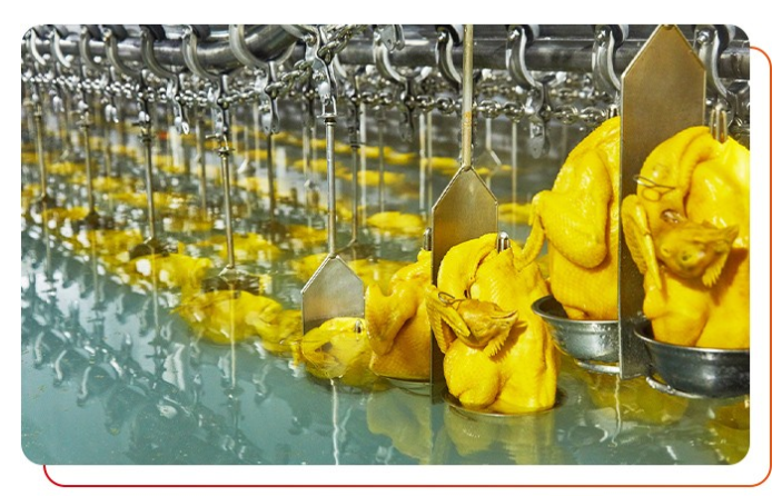 唐順興白切雞食材批發(fā)有什么優(yōu)勢(shì)