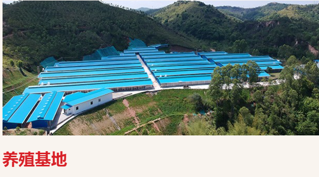 唐順興預(yù)制菜食材從哪里來(lái)